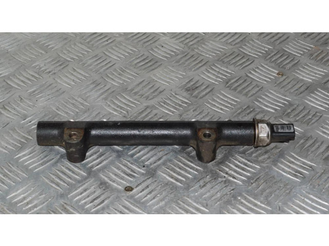 Топливная рампа 9685297580   Citroen C3 Picasso 1.6 