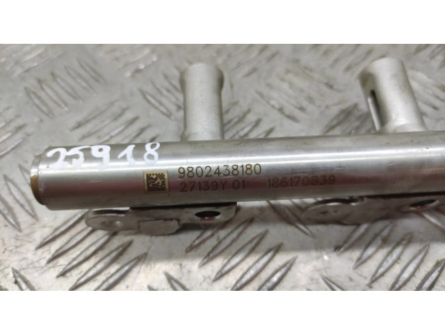 Vstřikovací lišta 9802438180 Citroen C3 pro benzínový motor 1.2 Hn01