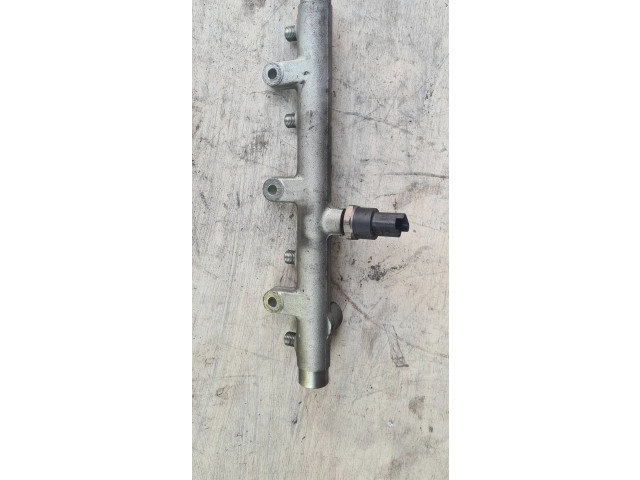 Vstřikovací lišta 0445214019, 019388l4 Peugeot 307