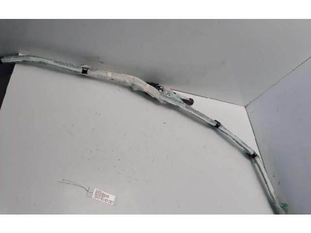 Подушка безопасности двери 3C0880742F   Volkswagen Passat Alltrack