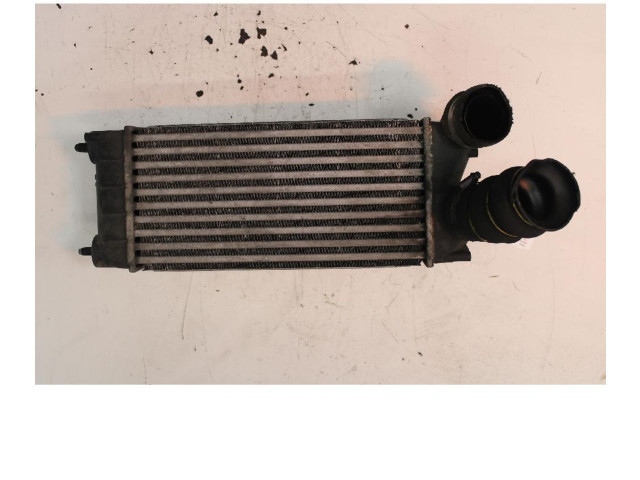 Интеркулер     Citroen Berlingo 1.6