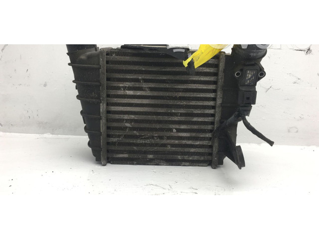 Интеркулер Seat Ibiza III (6L)