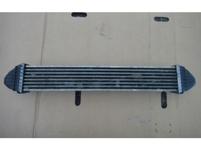 Интеркулер A1695000000 Mercedes-Benz A W169