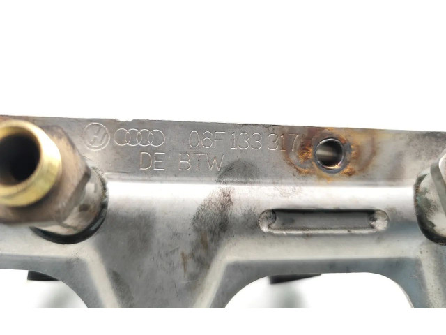 Комплект форсунок 06F133317L, 06D133096D Audi A3 S3 8P BWA