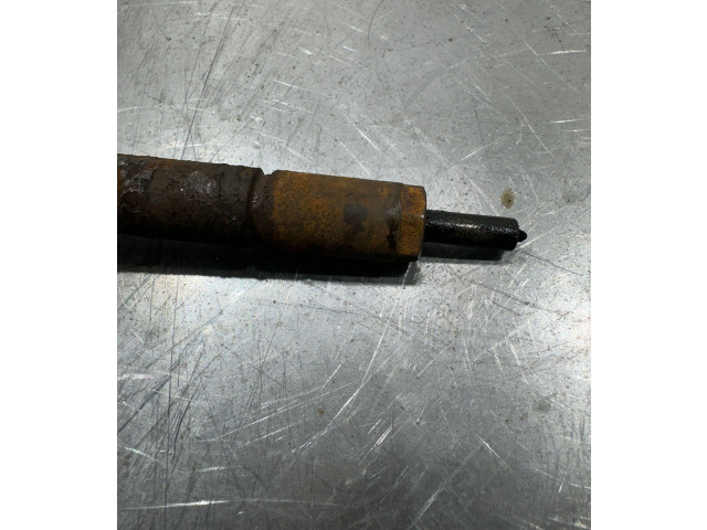 Форсунка 0445110297 Citroen Berlingo