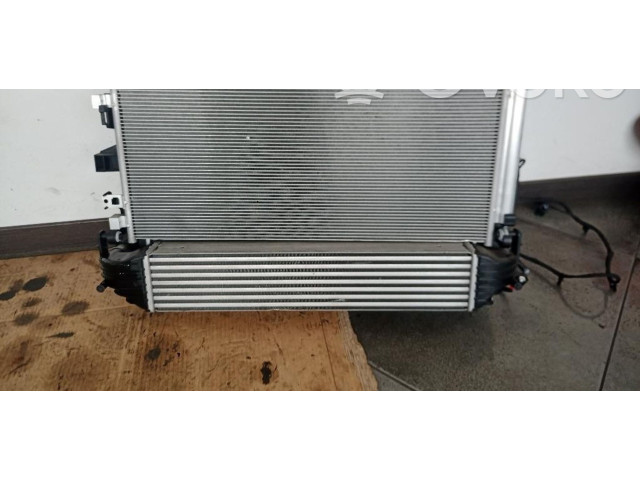 Интеркулер Jeep Compass