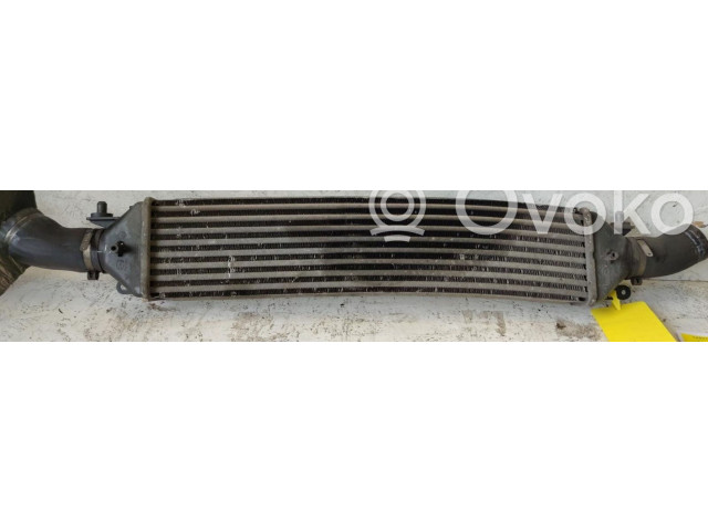 Интеркулер     Fiat Bravo - Brava 