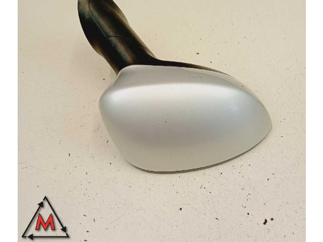 Zpětné zrcátko Fiat Punto Evo 2009 E3011024, E3021047