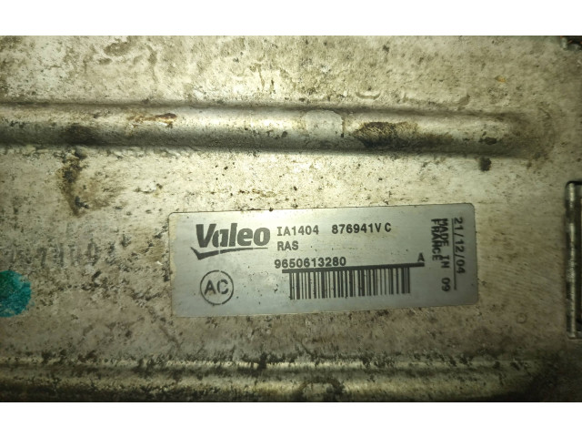 Интеркулер  9650613280   Citroen C5 