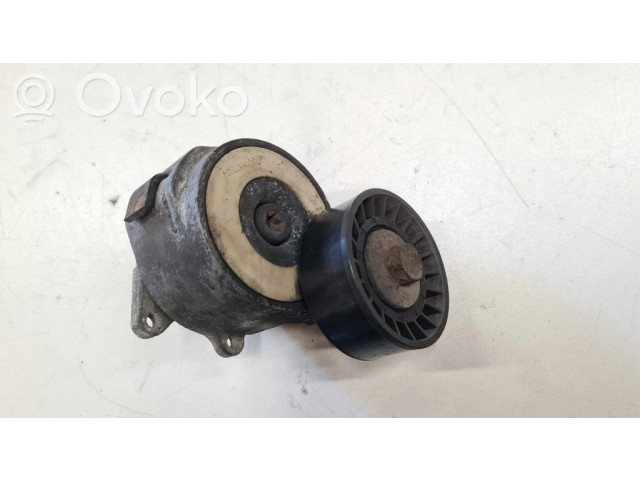 Натяжитель ремня генератора