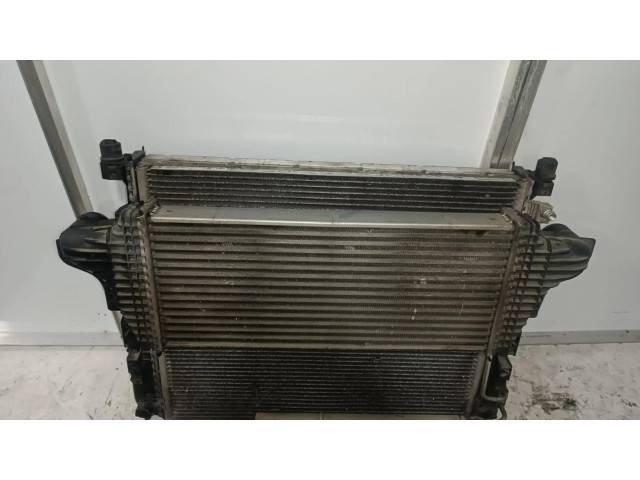 Интеркулер A251000000004, INTERCOOLER Mercedes-Benz R W251 3.0