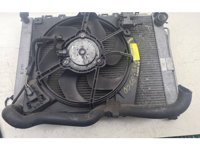 Pojistková skříňka 8200966248 Renault Modus 2004