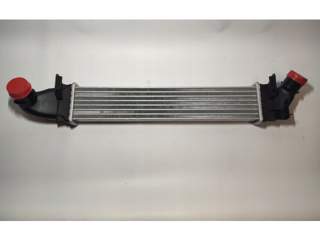 Интеркулер 8200424155, 8200424155 Dacia Logan I