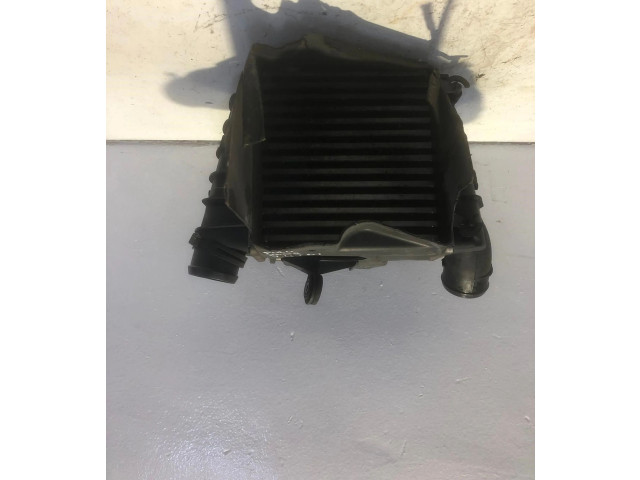 Интеркулер  BNM   Volkswagen Polo 