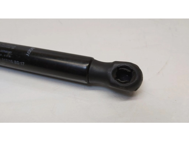 Amortizatorius su spyruokle