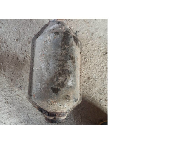 Катализатор / FAP/DPF фильтр твердых частиц