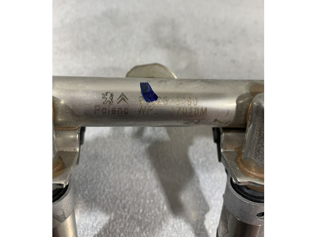 Комплект форсунок 9802545280    Peugeot 5008  5GZ[EP6FDT]5G01/AT8-GE53GE33 