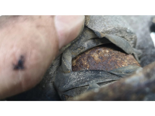 Задний суппорт