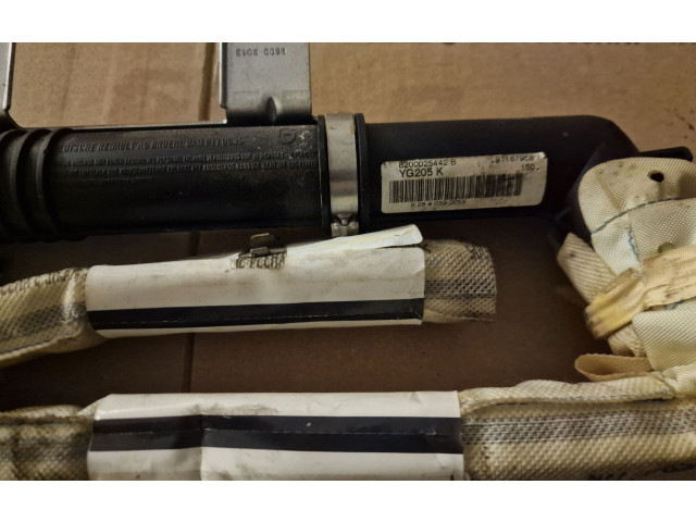 Боковая подушка безопасности 8200025442B   Renault Trafic II (X83)