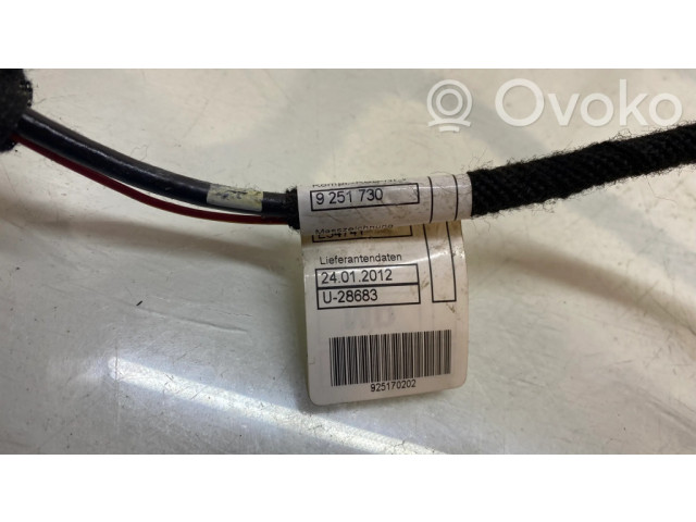 Дисплей 9251730, 9262752 BMW 1 F20 F21