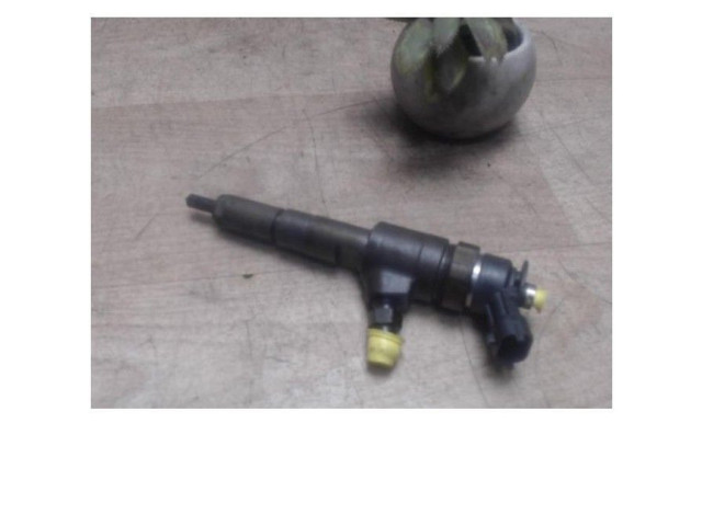 Vstřikovač Citroen C3