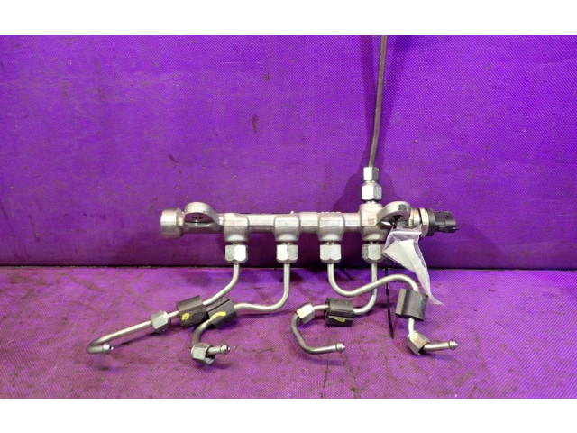 Топливная рампа 55234039, 55234039   Fiat Freemont  