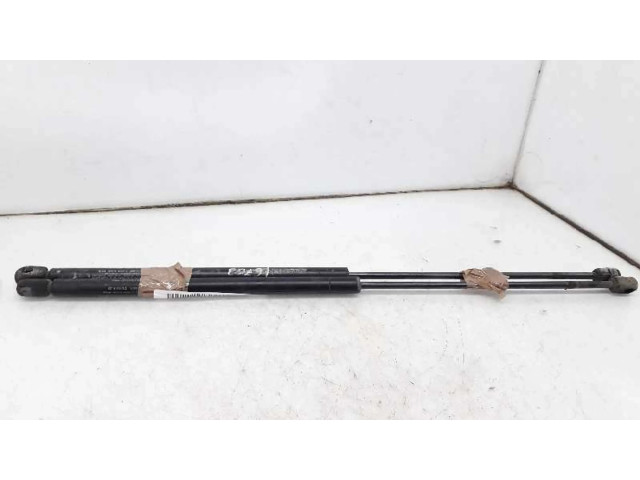 Пружина (пружины) задней крышки