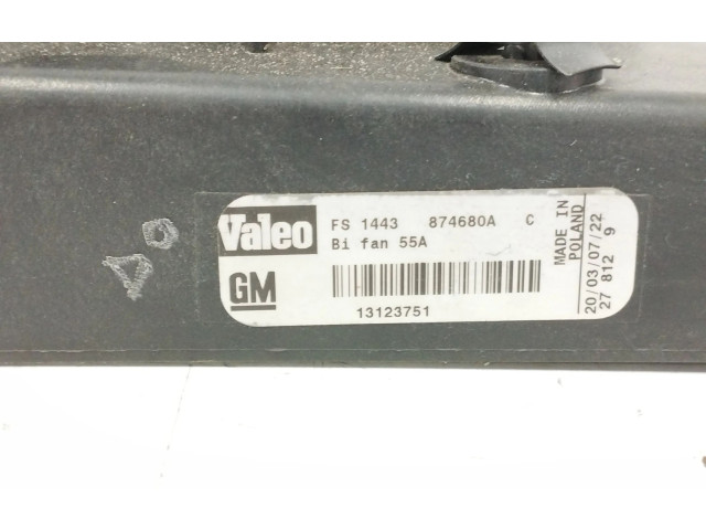 Вентилятор радиатора     13123751, 874680A    Saab 9-3 Ver2 