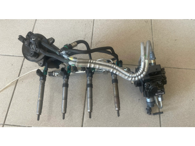 Комплект системы впрыска топлива 0445116043, 0445010139 Jaguar XF X260 для дизельного двигателя 2