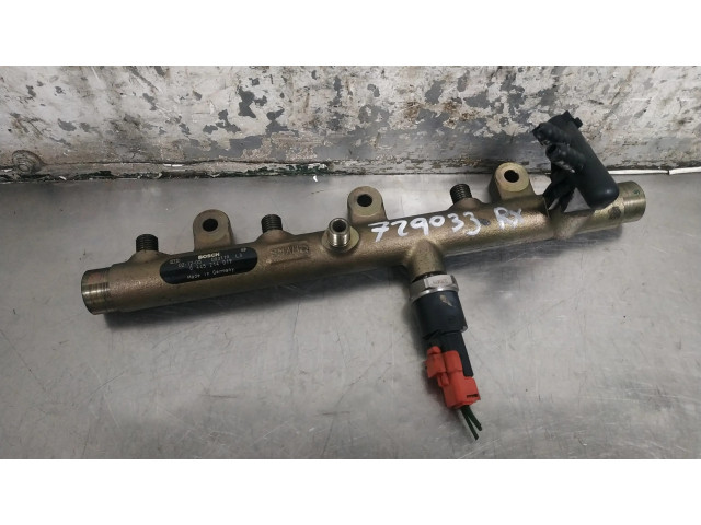 Топливная рампа 0445214019 Citroen Xsara 2.0 для двигателя RHZ