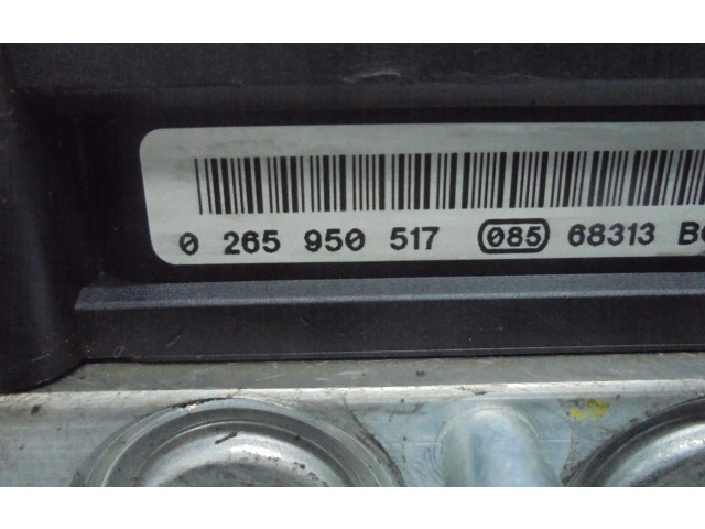 Блок управления АБС 0265950517   Citroen C4 I