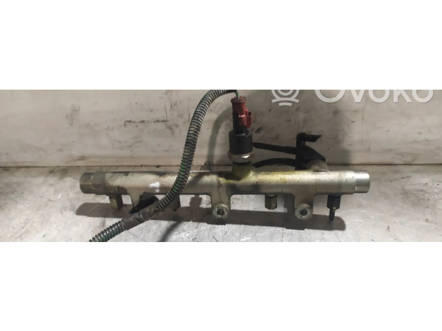 Vstřikovací lišta 0445214019, 005368 Citroen Xsara 1.6 RHYDW10TD