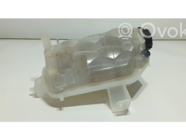 Расширительный бачок охлаждающей жидкости    