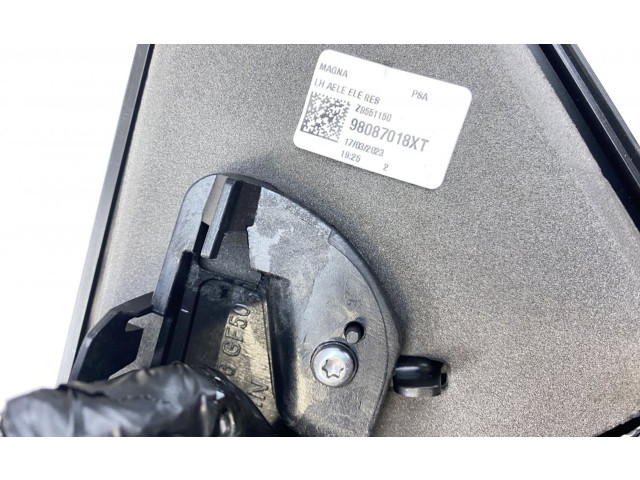 Pojistková skříňka Зеркало (управляемое электричеством) 98087018XT, 98087018XT Peugeot Traveller 2023