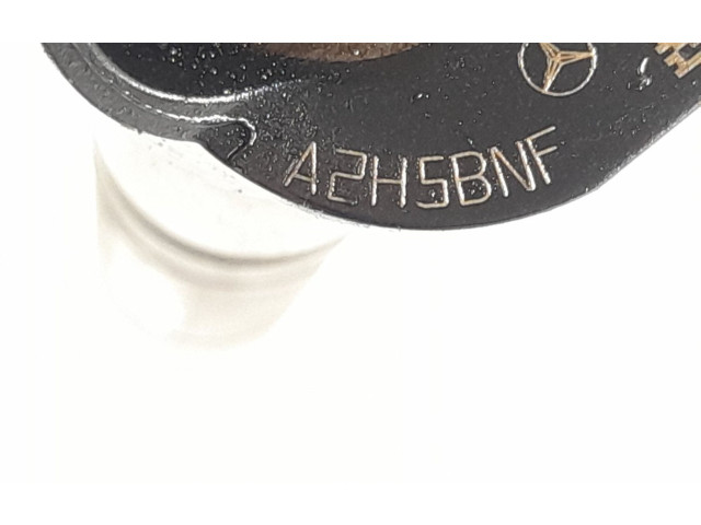 Форсунка 6420701387, 6420701987    Mercedes-Benz R W251  OM 642.950 