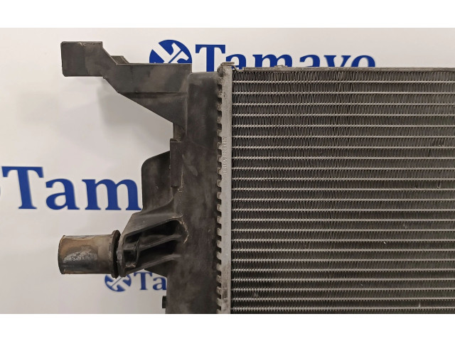 Панель приборов 214100002R, RA1562   Renault Megane III       