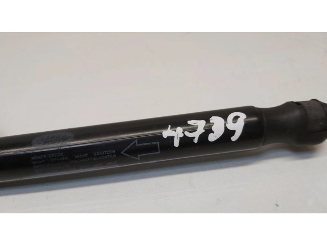 Amortizatorius su spyruokle