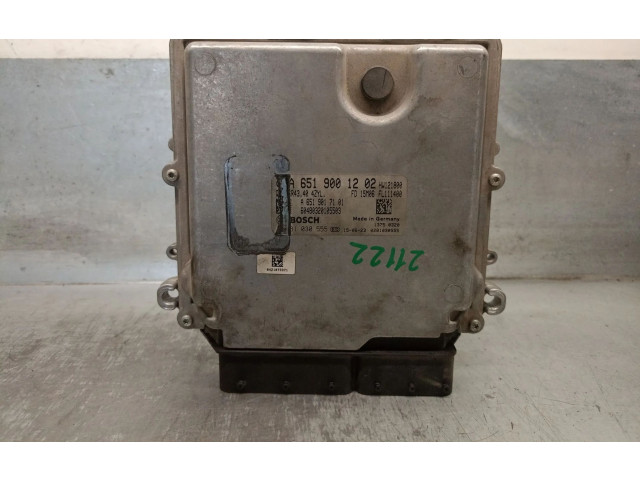 Řídící jednotka A6519001202, 0281030555BOSCH Mercedes-Benz ML AMG W164 2012