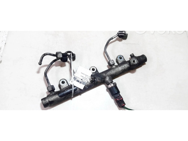 Топливная рампа 0445214019 Citroen Xsara Picasso 2.0