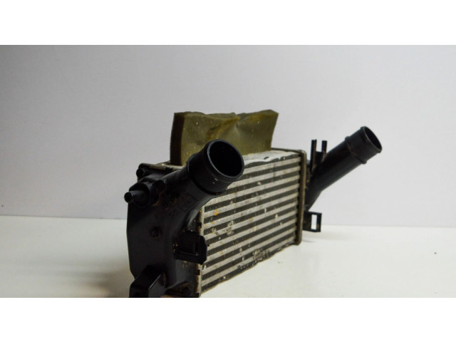 Интеркулер H1BG6K775AC Ford Ecosport 1.0