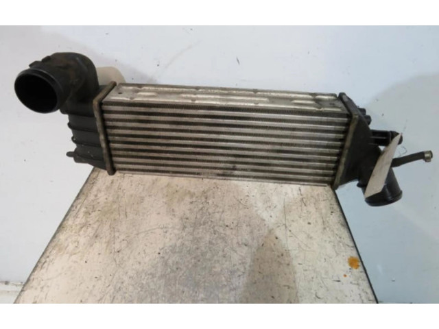 Интеркулер 00000384G0 Citroen C8