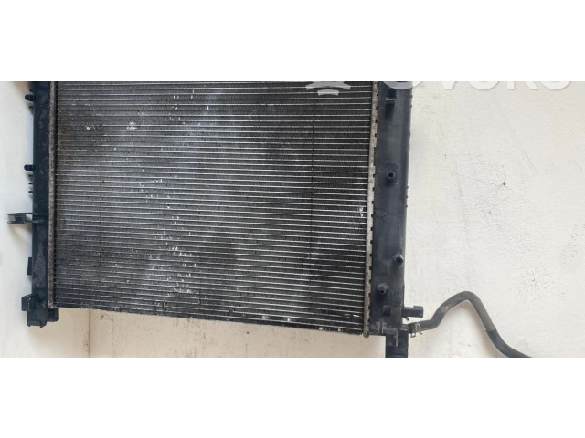 Радиатор охлаждающей жидкости 214100078RNU, 214100078RNU    Dacia Dokker