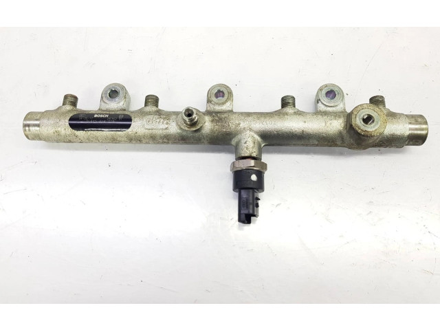 Vstřikovací lišta 157095, 0445214019 Peugeot 206 2.0