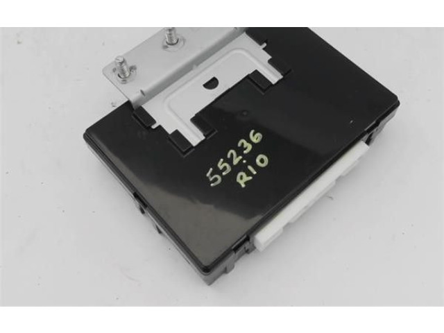 Блок управления 954101G104, T10GA1200944   KIA Rio