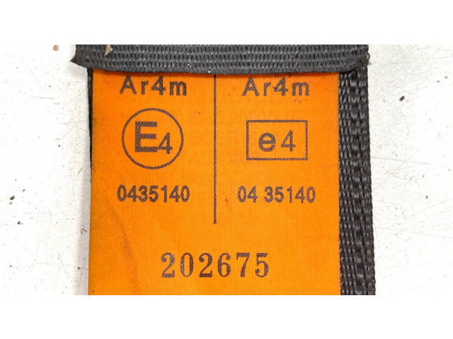 Задний ремень безопасности