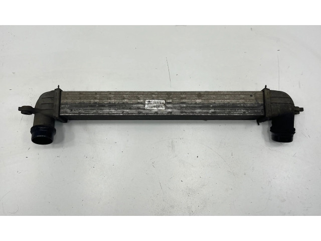 Интеркулер     Mini Cooper Countryman R60 