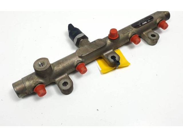 Топливная рампа 0445214019 Citroen Xsara для двигателя RHY