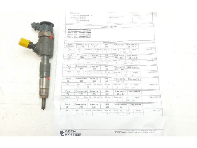 Форсунка 0445110566 Peugeot Partner BHY