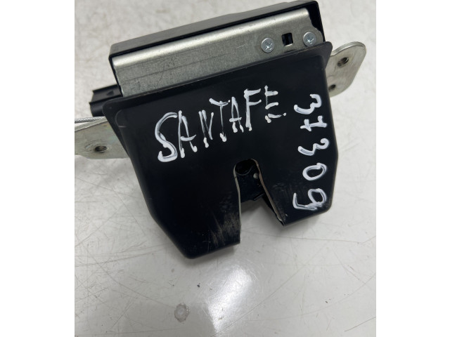 Ojnice Hyundai Santa Fe