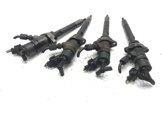 Комплект жиклеров (форсунок) 0445110239 Citroen C4 I